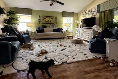 Gardenia model, Living room, Interior Design - in the Villages of Florida.