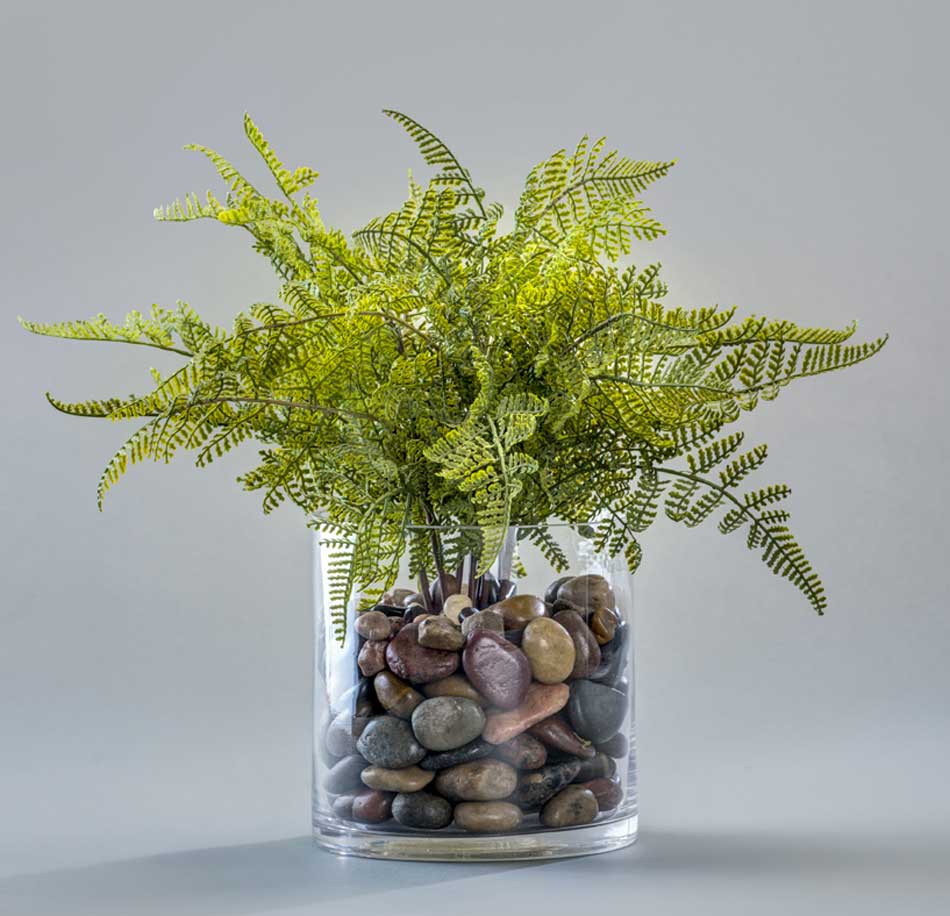 Fern-in-a-stone-glass-base - Home Décor by Ruth Dyer - in the Villages of Florida.