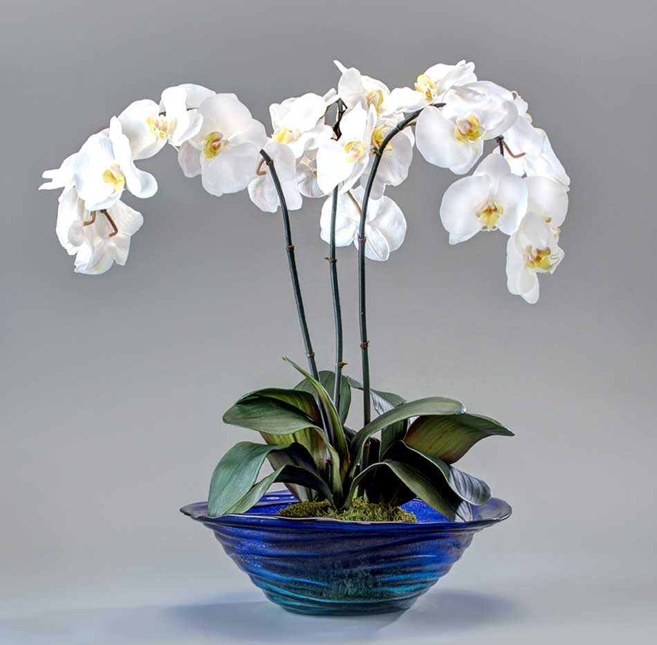 Orchids in a glass bowl, Realisitic and Beautiful - Home Décor by Ruth Dyer - in the Villages of Florida.