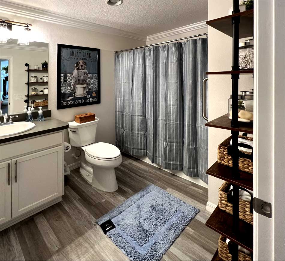 the Commode and Shower curtain, Home Décor by Ruth Dyer - in the Villages of Florida.
